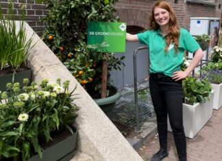 ‘Groendoener’ Jessica maakt samen met haar buren de Kadijkenbuurt groener