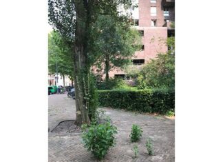 Column | Nieuw Leven