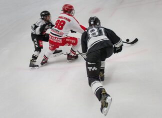 Tigers halen tweede overwinning in Groningen