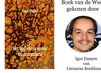 Boek van de Week | ‘Het lied van ooievaar en dromedaris’ van Anjet Daanje