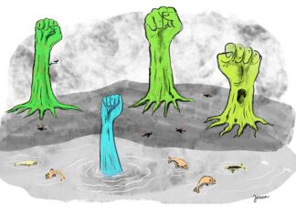 Het klimaat in de picture!