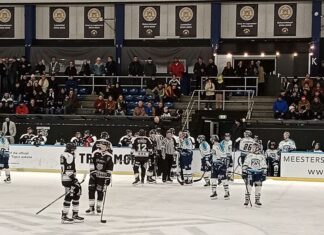 Yeti’s hak- en beukwerk goed voor doelsaldo Tigers