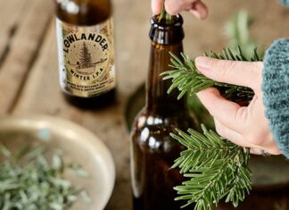 Treecycling bij Lowlander: biertje in ruil voor een kerstboom