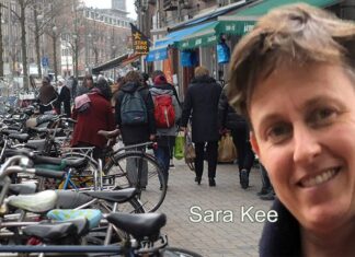 Column | Het bos in de Javastraat