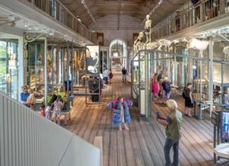 Groote Museum: Wat eten we… morgen?