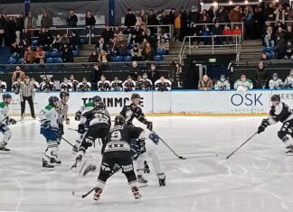 Tigers in volle vaart naar de halve finale