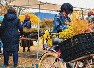 Groenweek en Groenmarkt op Oostelijke Eilanden en Marineterrein