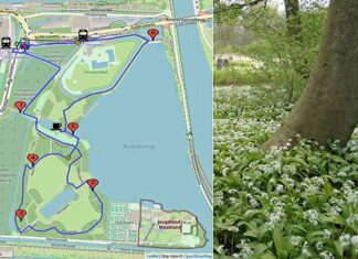 Oostommetje: Flevopark