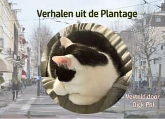 Kut!
