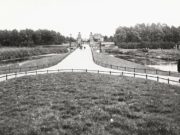 Oud Nieuws | Bestrijding van de baldadigheid. Zaterdag boomplanting in Zuiderzeepark