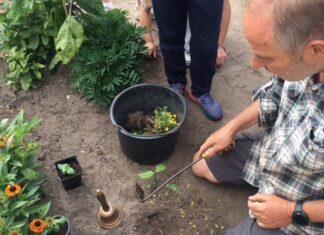 Mee met groep 6 naar de Kalffschooltuin: Oogsttijd!