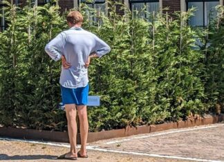 Geheime optredens in de Heg