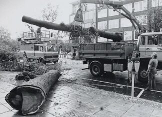 Oud Nieuws | Amsterdam verloor 68 zware bomen