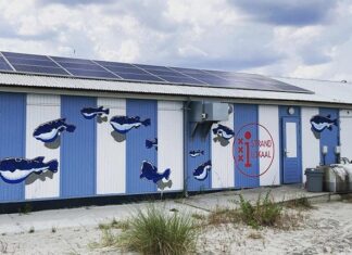 Weer meer botten en vuurstenen in Strandlokaal IJburg