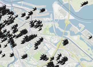 Opnieuw onderzoek naar nestplaatsen gierzwaluw. Nu ook in Oud-Oost