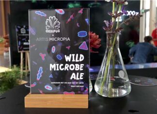 Bier van wilde gist ‘gevangen in Artis’ en opgekweekt door microbiologen van Micropia