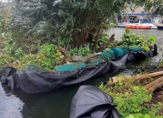 ‘Gemeente verminkt cultureel erfgoed van Robert Jasper Grootveld’
