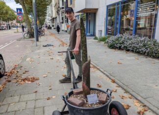 Penisplant gaat uit logeren