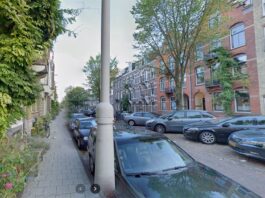 De Linnaeusparkweg van Fokko Kuik