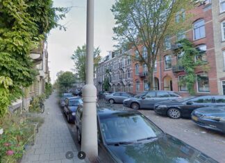 De Linnaeusparkweg van Fokko Kuik