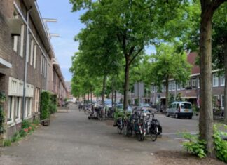 Bewoners geschokt na bericht over massale bomenkap in Middenmeer-Noord
