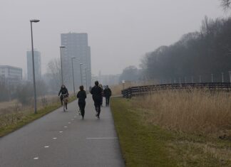 De Ringdijk van Fokko Kuik