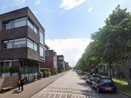 De Zwanebloemlaan van Fokko Kuik