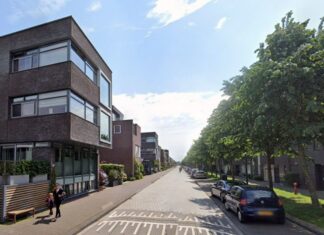 De Zwanebloemlaan van Fokko Kuik