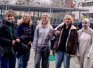 Cygnus gaat voor groener en duurzamer schoolplein