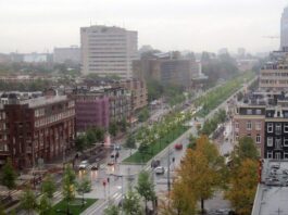 Resultaten hitteonderzoek Knowledge Mile: vergroening kan helpen tegen hittestress.