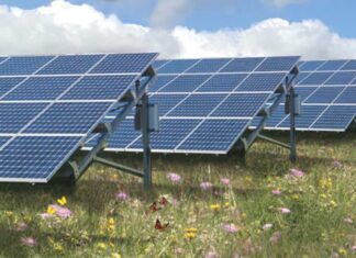 Coöperatie Goed zoekt leden voor tijdelijke zonneweide