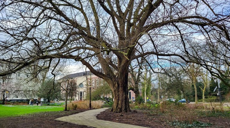 Oost ommetje | Naar de Dokwerker
