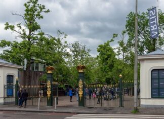 Partij van de Dieren: ‘Maak van Artis een openbaar cultureel park, zonder dieren in kooien’