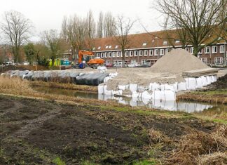 Galileïplantsoen wordt weer plantsoen. Opslaglocatie blijft op Zeeburgereiland