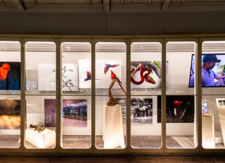 Artis Groote Museum | Door de ogen van
