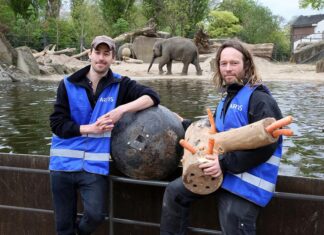 Een verkenning van de diverse ervaringen van levensvormen die je in Artis tegenkomt