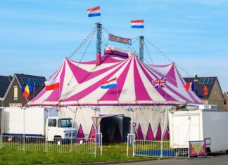 Magic Circus wil geacht publiek in Amsterdam-Oost inpakken