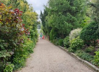 Wandeling langs 349 bomen op tuinpark Nieuwe Levenskracht