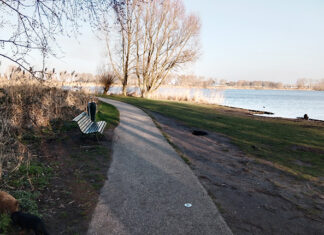Waterschap verbetert dijk langs Nieuwe Diep in Flevopark