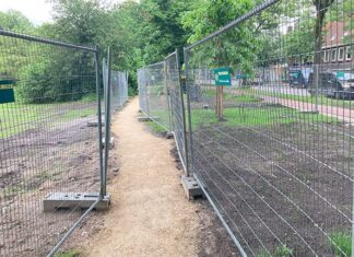 Zandbergen Galileïplantsoen opgeruimd, gras kan weer groeien