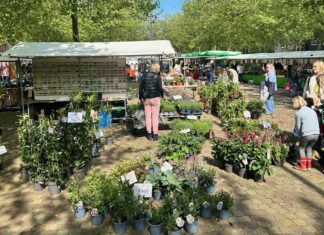 Rust keert terug op de Reuringmarkt