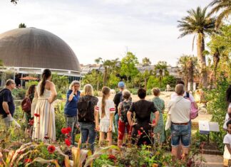Artis nodigt alle aardbewoners uit voor eerste editie van het Aardbewoners Festival