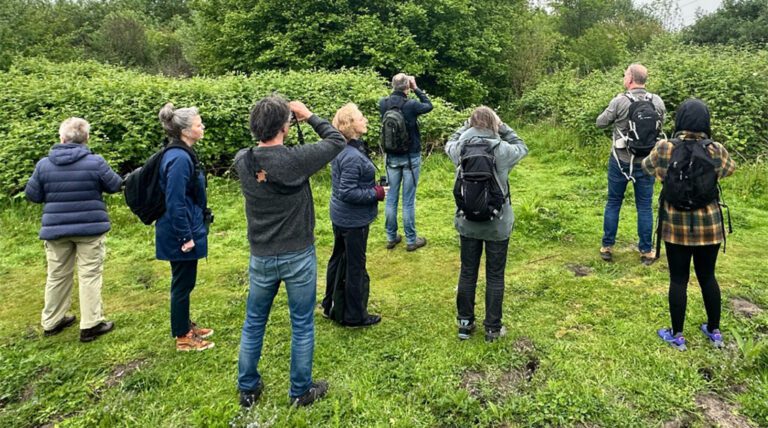 Grote belangstelling voor Vogelexcursie op IJburg
