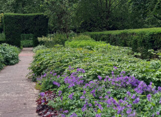 Open dag bij de Bloementuin van Darwin
