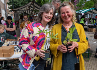 Plantjes, workshops en goede adviezen op gezellige Groenmarkt in de Batjanstraat
