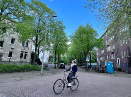 De Olmenweg-Populierenweg-Platanenweg van Fokko Kuik