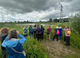 Genoeg vogels te zien tijdens laatste voorjaarsexcursie in Oost
