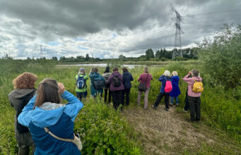 Genoeg vogels te zien tijdens laatste voorjaarsexcursie in Oost