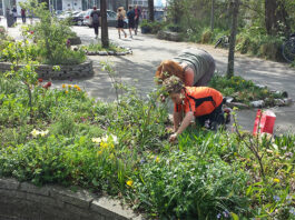 De Weesperzijdetuin wordt nieuw ingericht