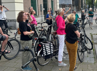 Op zoek naar de iconische Amsterdamse zomervogel: de gierzwaluw